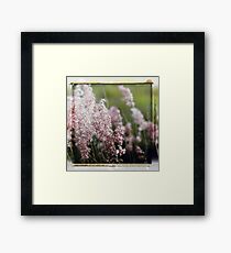Deux Framed Print