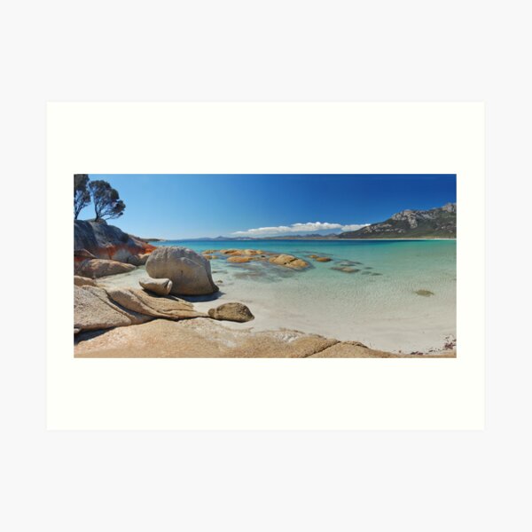 Fotheringate Beach Art Print