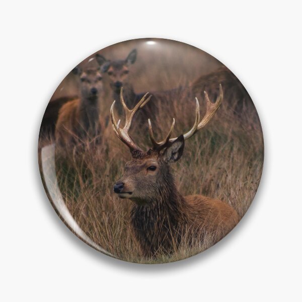 Item preview, Autumn Deer designed and sold by Jacques Salisbury.