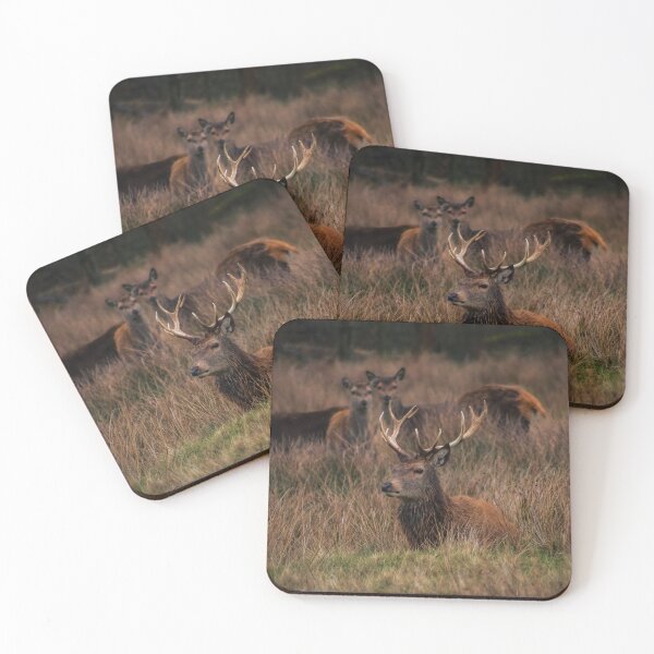 Item preview, Autumn Deer designed and sold by Jacques Salisbury.