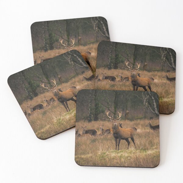 Item preview, Male Deer Guarding His Herd designed and sold by Jacques Salisbury.