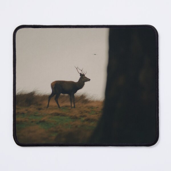 Item preview, UK Wildlife. designed and sold by Jacques Salisbury.
