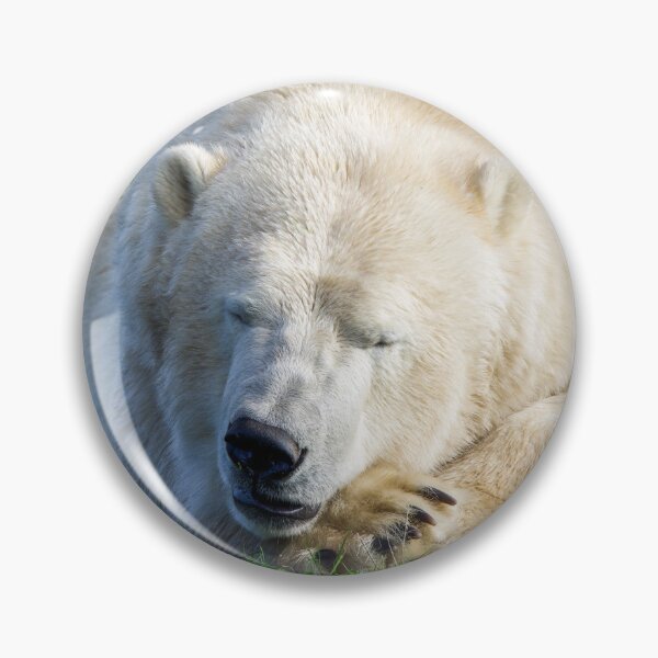 Item preview, Sleeping Polar Bear designed and sold by LFPPhotography.