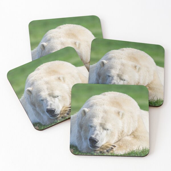 Item preview, Sleeping Polar Bear designed and sold by LFPPhotography.