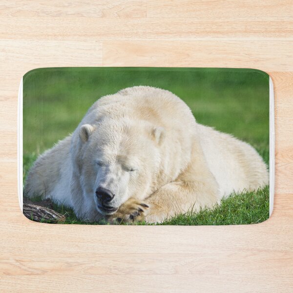 Item preview, Sleeping Polar Bear designed and sold by LFPPhotography.