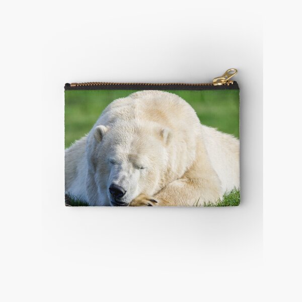 Item preview, Sleeping Polar Bear designed and sold by LFPPhotography.