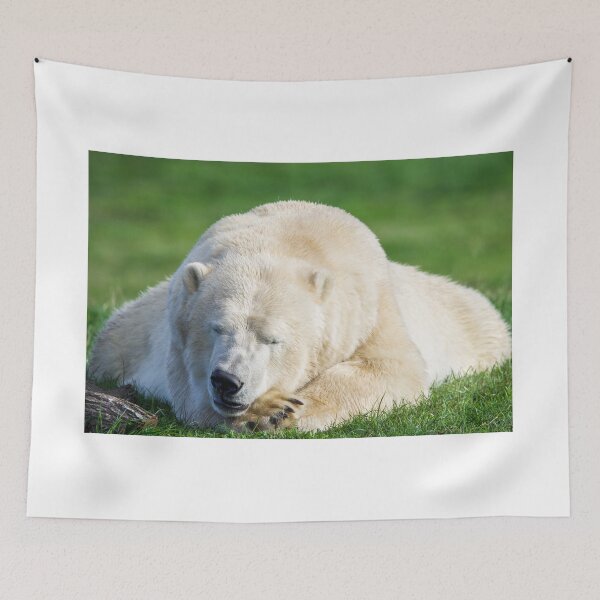 Item preview, Sleeping Polar Bear designed and sold by LFPPhotography.