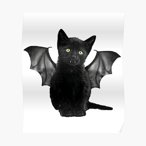 Poster T Shirt Drole De Chauve Souris Chat Noir De Batcat Par Trendytees12 Redbubble