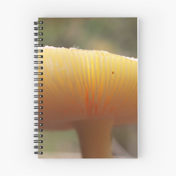 Item preview, Mushroom 3 designed and sold by TheArtPageofMG.