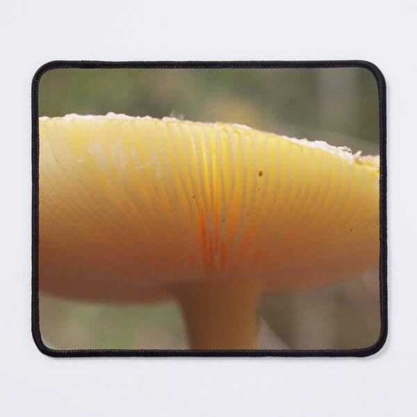 Item preview, Mushroom 3 designed and sold by TheArtPageofMG.