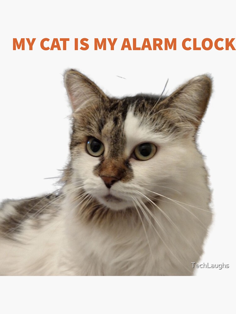 "My Cat Is My Alarm Clock" Sticker for Sale by TechLaughs Redbubble