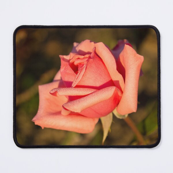 Item preview, Sweet Pink Aromatherapy - Dewy Petaled Rose From My Mothers Garden designed and sold by Georgia Mizuleva.