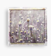 Quatre Metal Print