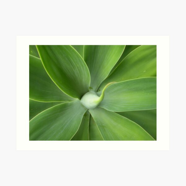 Green Glory Art Print