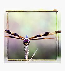 Un Photographic Print