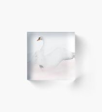 Pink mist Acrylic Block