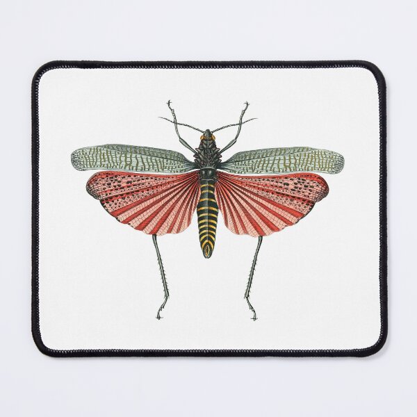 Item preview, Retro Bug Scientific Illustration designed and sold by InnerCitadel.