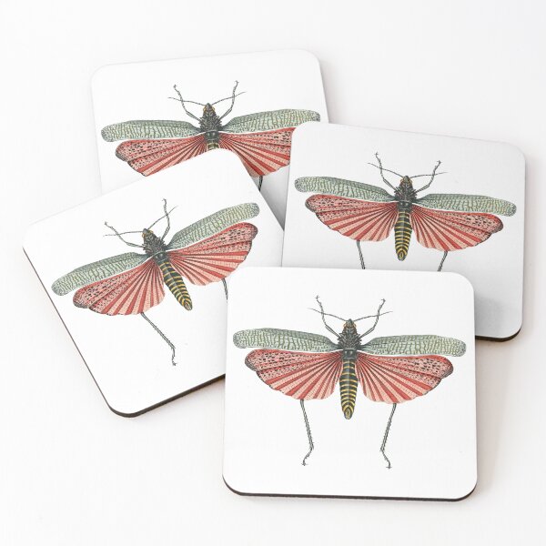 Item preview, Retro Bug Scientific Illustration designed and sold by InnerCitadel.