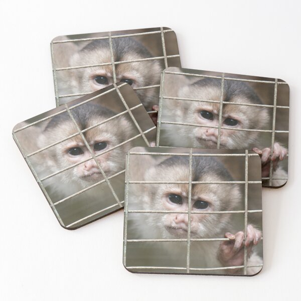 Item preview, Capuchin Monkey designed and sold by misimichu.