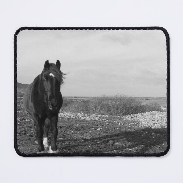 Item preview, Mr Inquisitive Horse Inishowen Donegal Ireland black and white effects designed and sold by eddiebarronshop.