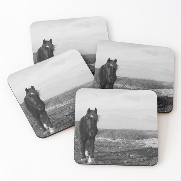 Item preview, Mr Inquisitive Horse Inishowen Donegal Ireland black and white effects designed and sold by eddiebarronshop.