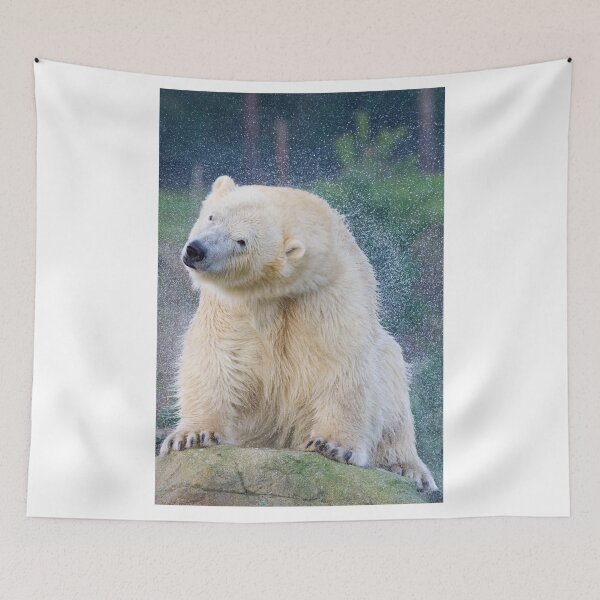 Item preview, Polar Bear Shaking Himself Dry designed and sold by LFPPhotography.