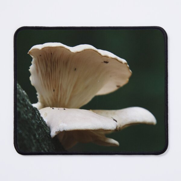 Item preview, Mushroom 7 designed and sold by TheArtPageofMG.