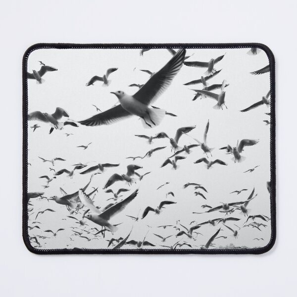 Item preview, WHAT IS FREEDOM? designed and sold by PBYK.