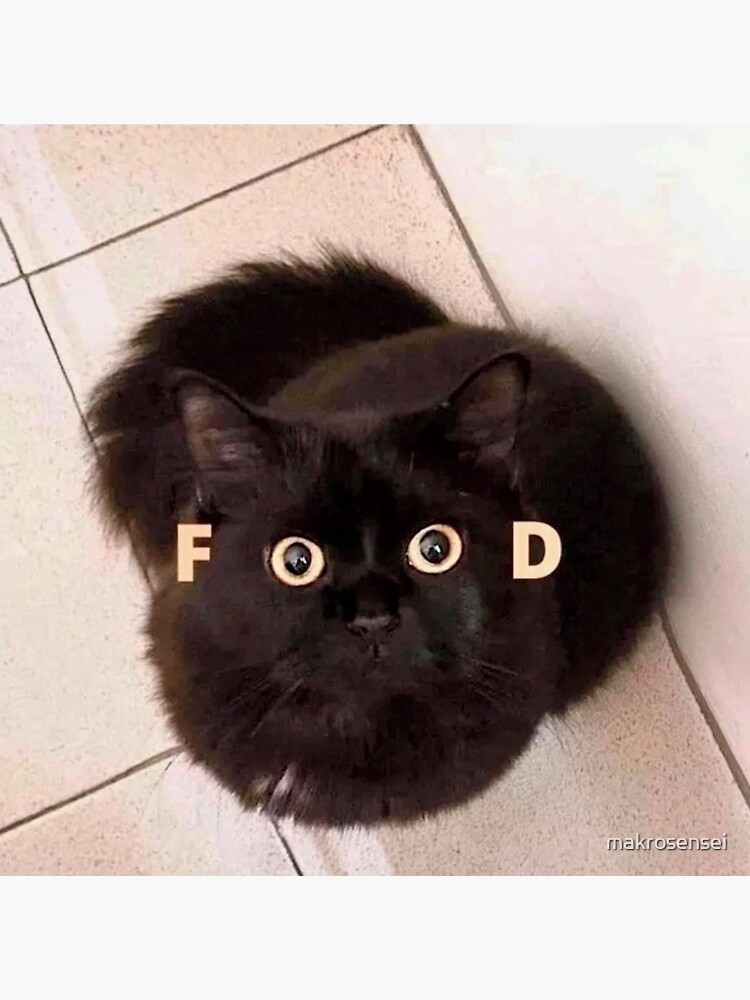 Cat Wanting Food Sticker