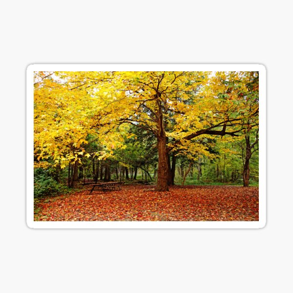 Item preview, Elora Gorge Camping In Fall designed and sold by Debbie Oppermann.