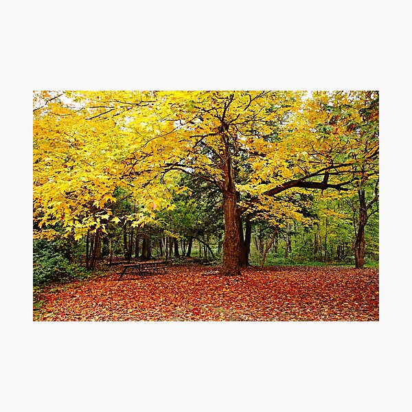 Item preview, Elora Gorge Camping In Fall designed and sold by Debbie Oppermann.