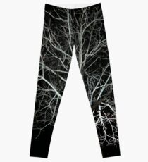 Dead tree Leggings