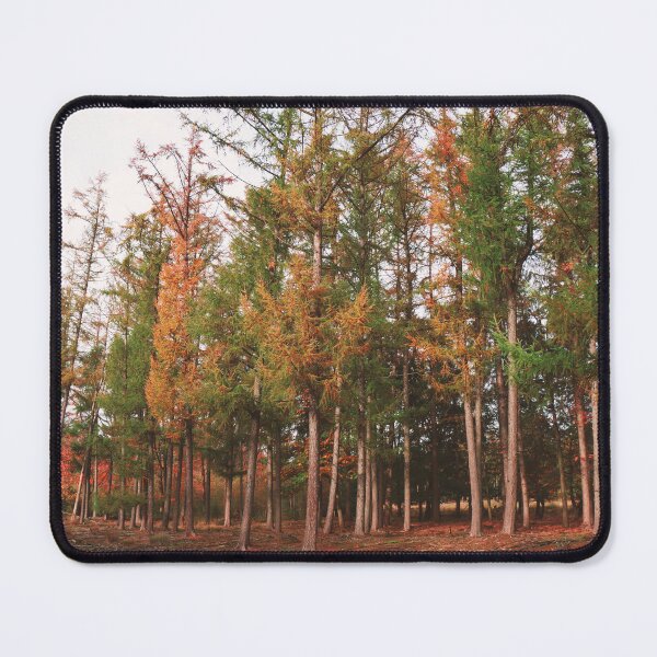 Item preview, Forest 2 designed and sold by TheArtPageofMG.