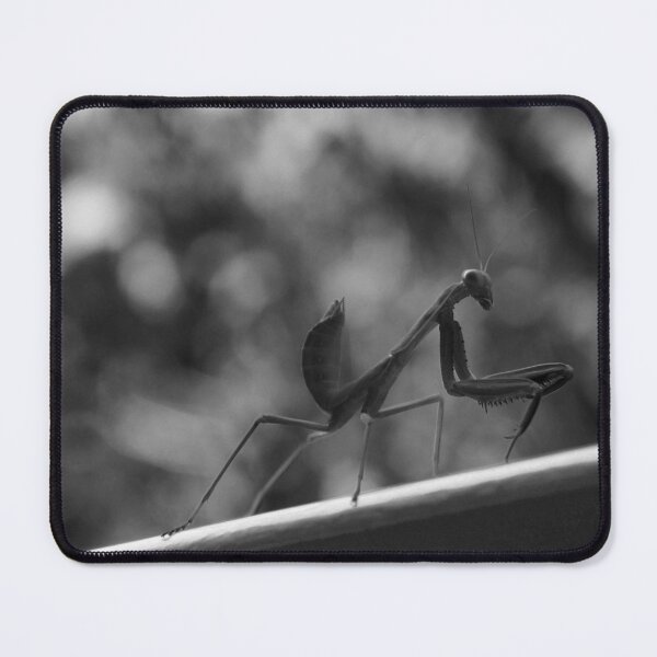 Item preview, Praying Mantis designed and sold by DraconicKitty.