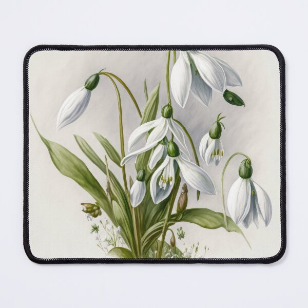 Item preview, Snowdrop Flowers designed and sold by Vanover Designs.