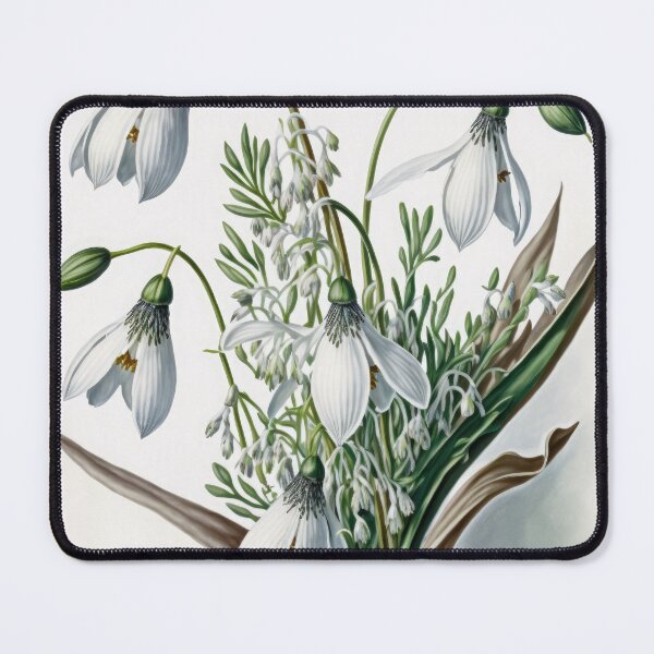 Item preview, Snowdrop Flowers designed and sold by Vanover Designs.