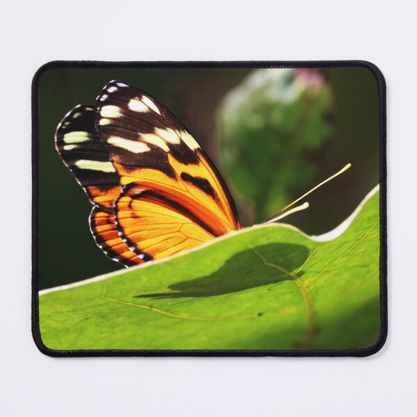 Item preview, Butterfly 1 designed and sold by TheArtPageofMG.