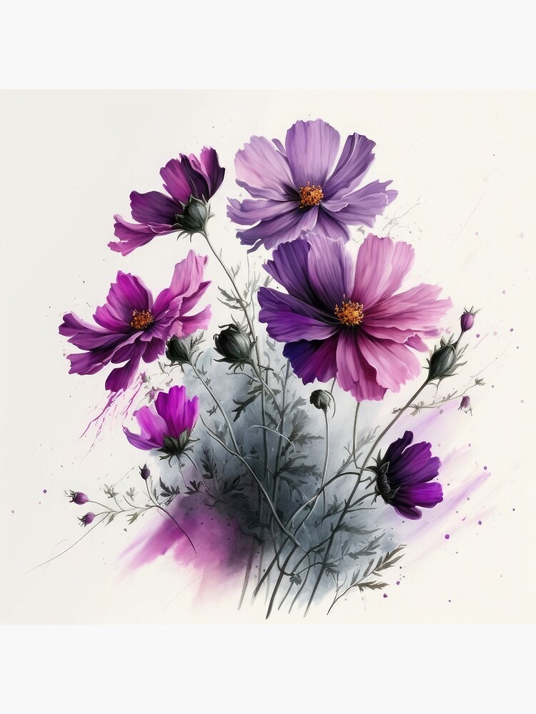 real purple cosmos