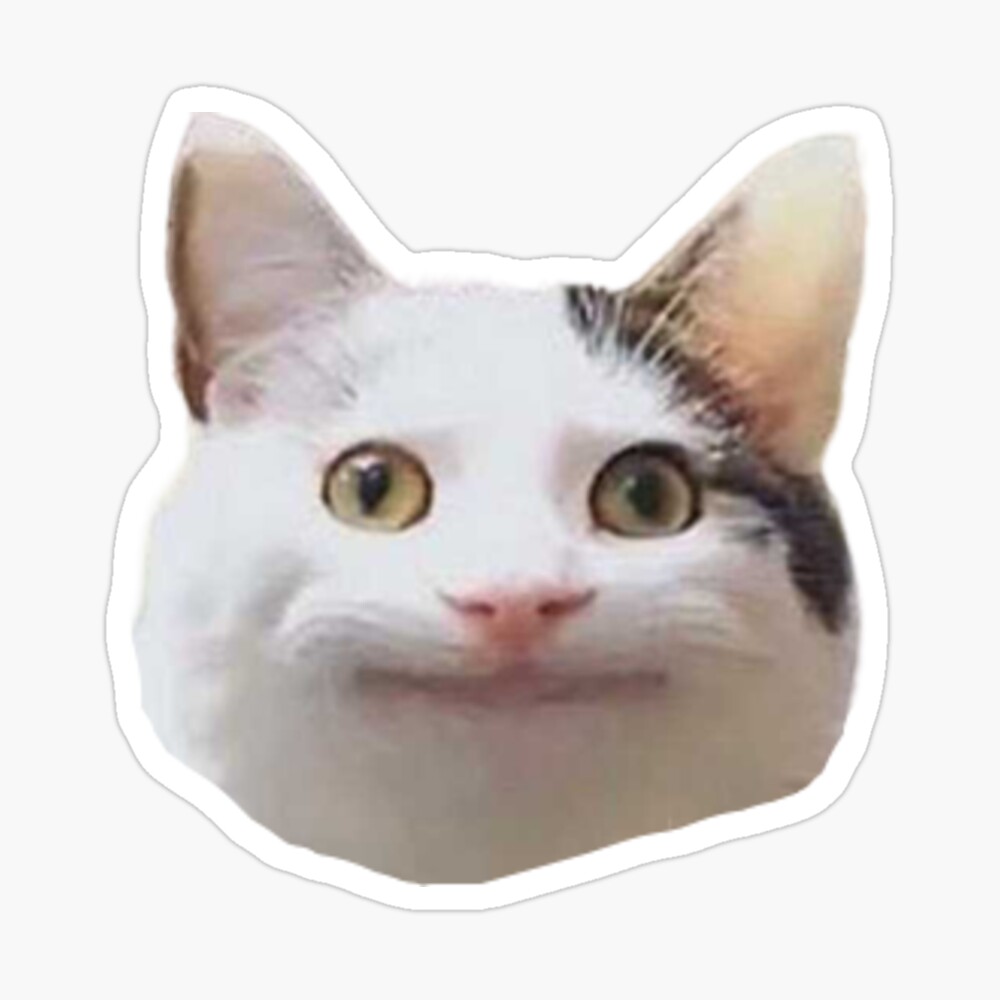 Beluga cat, Beluga Cat Meme, Meme Sticker for Sale by graphic-genie