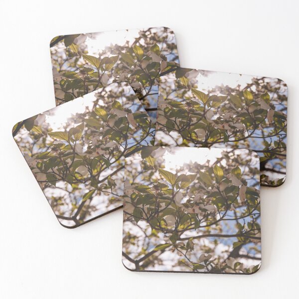 Item preview, Greenery designed and sold by GucciTrashBag57.