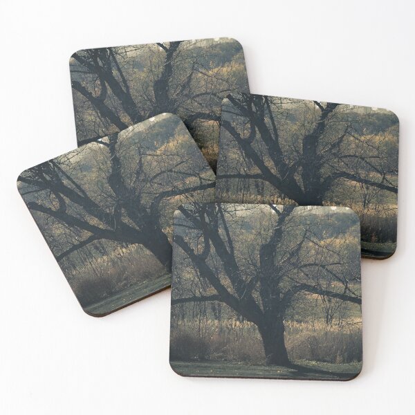 Item preview, Norway Maple designed and sold by lghtwrkr.