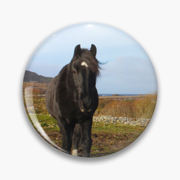 Item preview, Mr Inquisitive Horse Inishowen Donegal Effects designed and sold by eddiebarronshop.