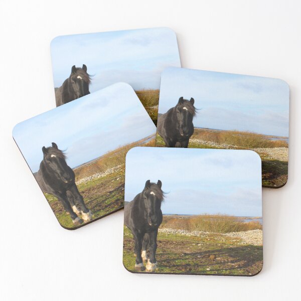 Item preview, Mr Inquisitive Horse Inishowen Donegal Effects designed and sold by eddiebarronshop.