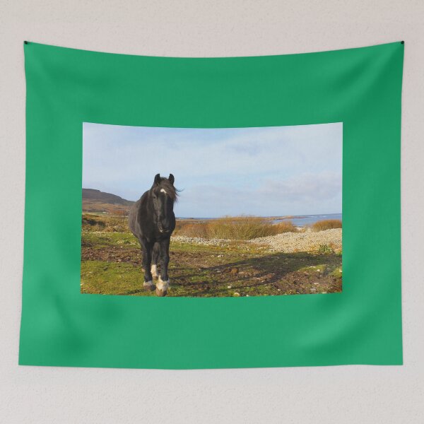 Item preview, Mr Inquisitive Horse Inishowen Donegal Effects designed and sold by eddiebarronshop.
