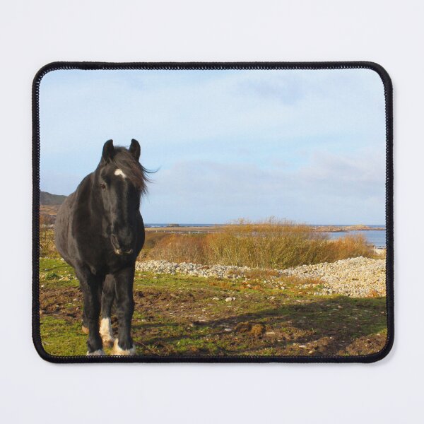 Item preview, Mr Inquisitive Horse Inishowen Donegal Effects designed and sold by eddiebarronshop.