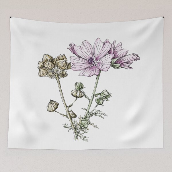 Item preview, The mallow not only looks great in bloom. designed and sold by Annika Gandelheid.