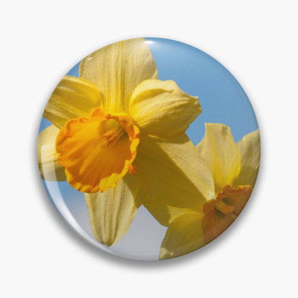 Artikelvorschau, Narzissenfrühlingsblumenfoto entworfen und verkauft von soul-swimming.