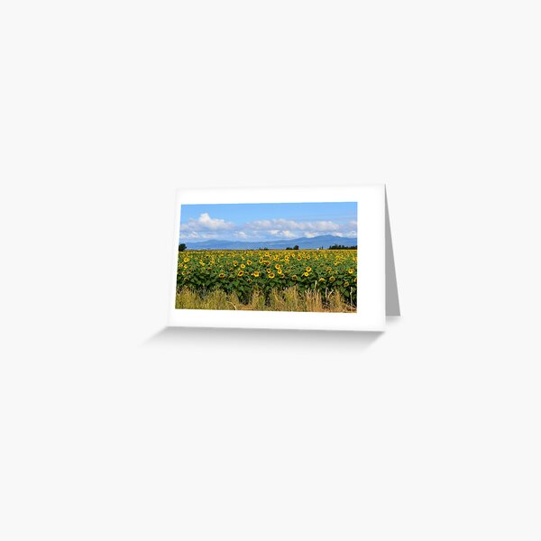 Sunflower Field in Full Bloom Greeting Card