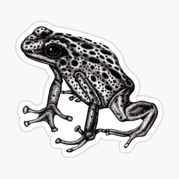 Okopipi Blue Poison Arrow or Dart Frog - Frog Gift Idea - Sticker