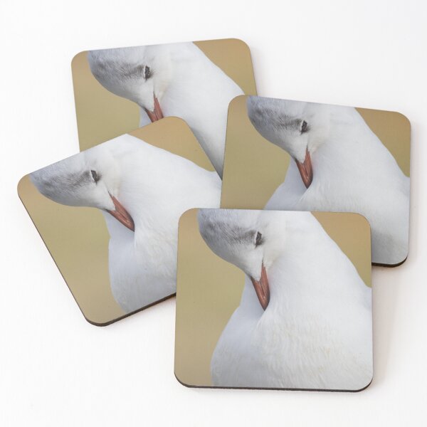Item preview, Black Headed Gull designed and sold by LaurenTucker.